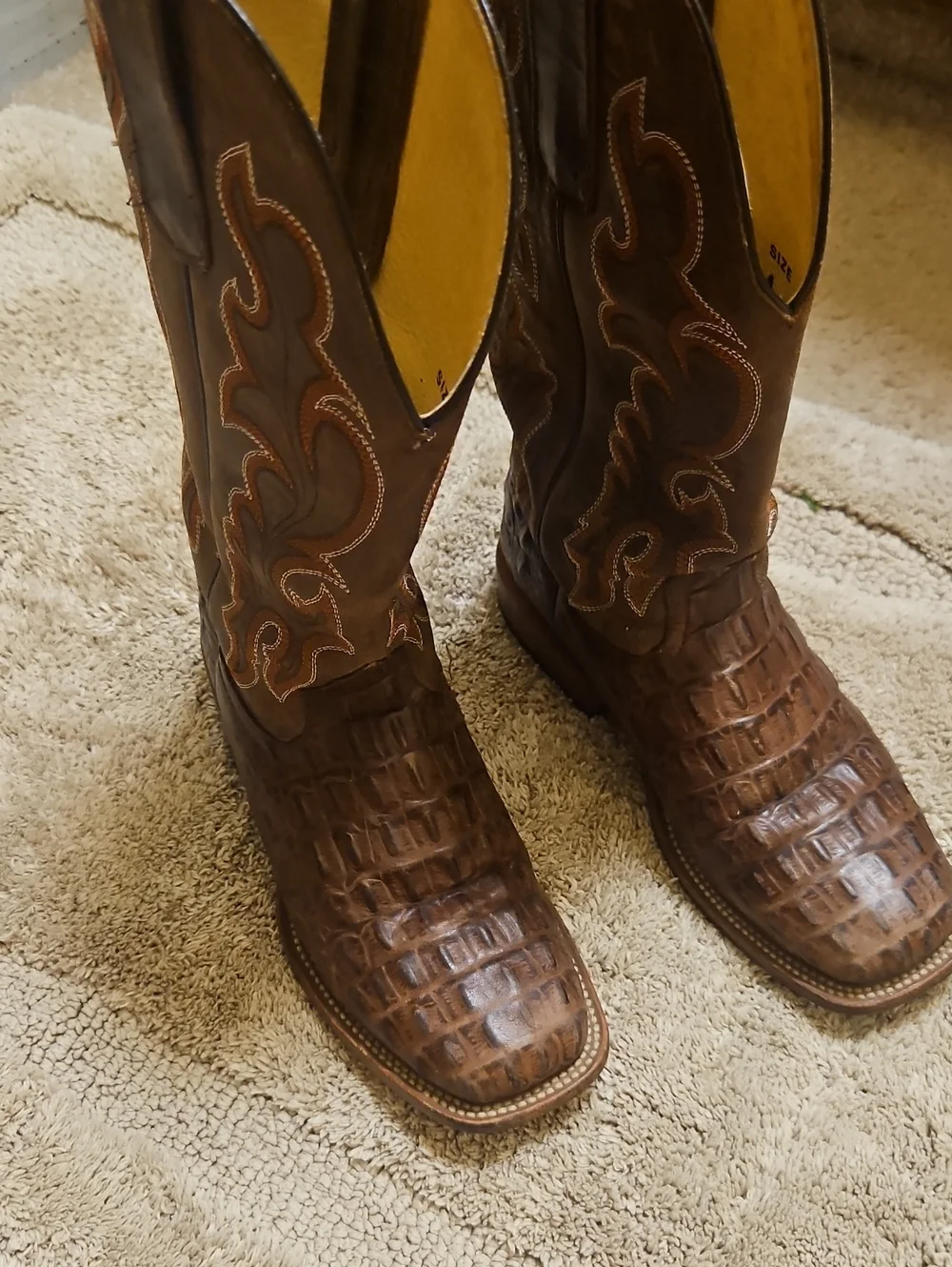 HP Brown Croc-Embossed Men's Cowboy Boots